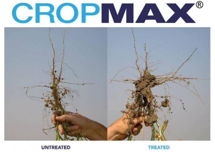 ingrasamant organic Cropmax